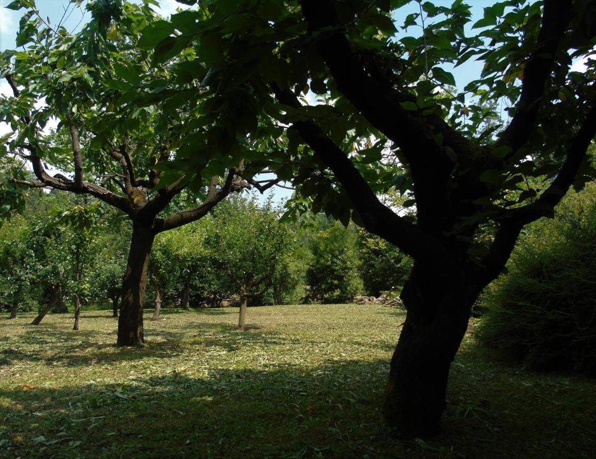 فيلا Cascina Cavalli Astino بيرغامو المظهر الخارجي الصورة